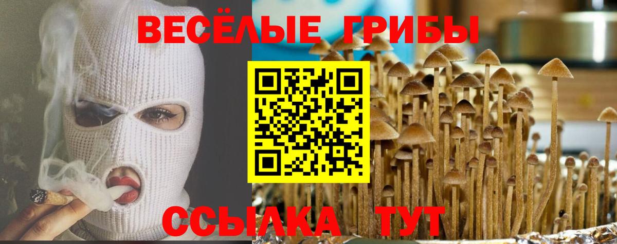 Псилоцибиновые грибы Cubensis  Псилоцибиновые грибы мухоморы  закладки  Ханты-Мансийск  Вход с VPN 